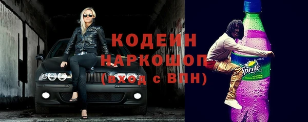 дмт Ладушкин
