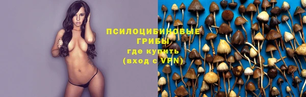 бошки Лабытнанги