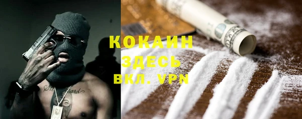 дмт Ладушкин
