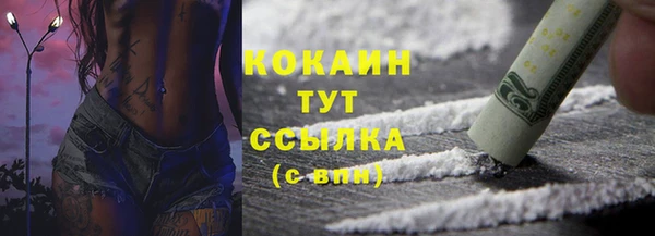 дмт Ладушкин