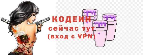 дмт Ладушкин