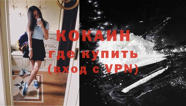 дмт Ладушкин