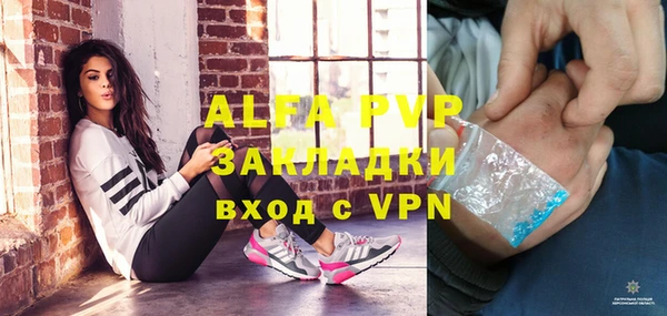 дмт Ладушкин