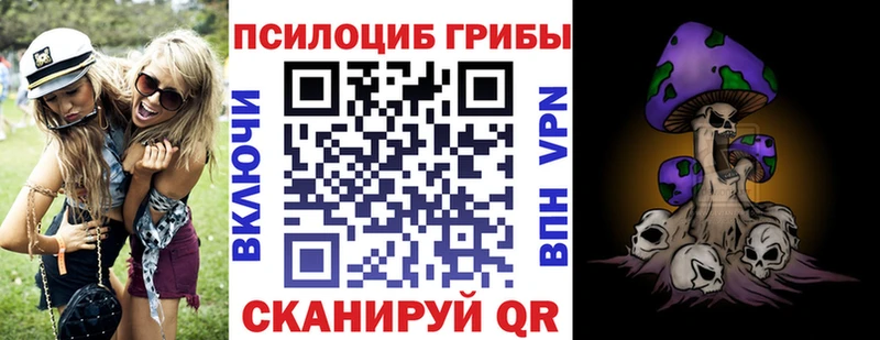 Галлюциногенные грибы Psilocybine cubensis  omg онион  Суворов 